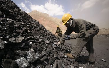 Directly from the field